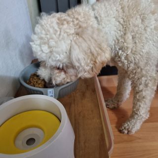 크림푸님이 올린 리뷰 사진 2