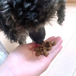 나오니님이 올린 리뷰 사진 2