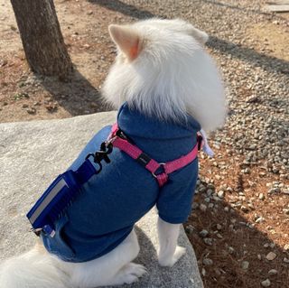 써니곰님이 올린 리뷰 사진 3