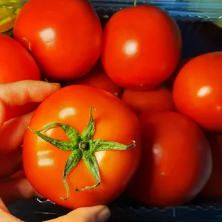 레드닥터 완숙토마토 + 통째로 동결건조한 대추방울토마토 — 5점을 준 리뷰어가 2022년 11월 올린 사용 사진