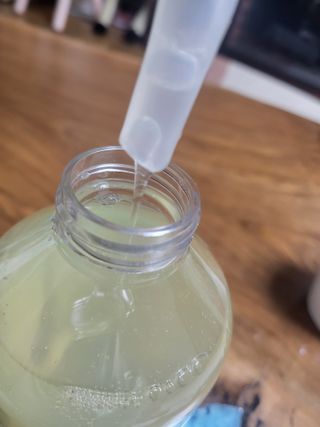 빅그린 니치 퍼퓸 바이옴바디워시 500ml(상탈, 블랙베리&베이, 블랑쉐 3종 중 택1) — 5점을 준 리뷰어가 2022년 12월 올린 사용 사진
