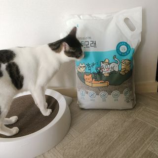 소뉴님이 올린 리뷰 사진 1