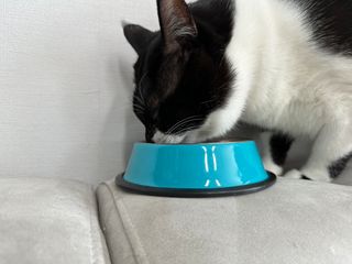 한화핫도그녀님이 올린 리뷰 사진 4