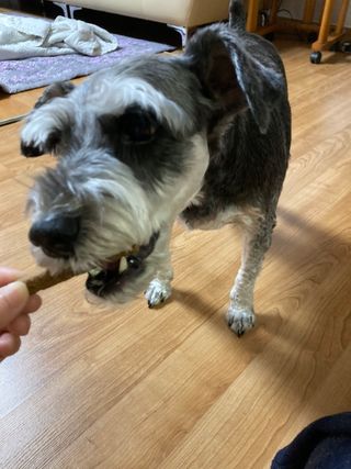 vicky17님이 올린 리뷰 사진 1