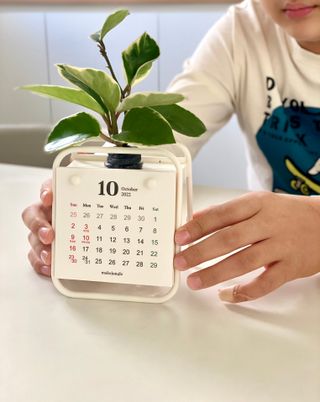 [메이크정글] 식물과 달력이 하나로, 2023년 식물캘린더 No.1 — 5점을 준 리뷰어가 2022년 10월 올린 사용 사진