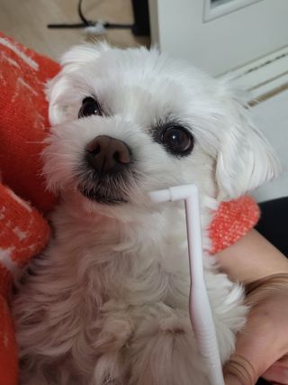 뽀오오옹님이 올린 리뷰 사진 2