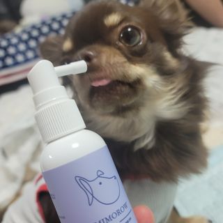 나초단맘님이 올린 리뷰 사진 1