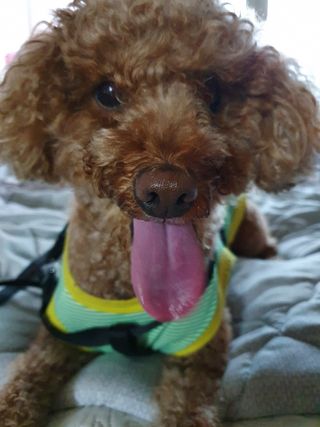 귀요미두공주맘님이 올린 리뷰 사진 3