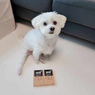소중하비님이 올린 리뷰 사진 2