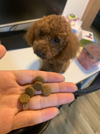 KellyChoi님이 올린 리뷰 사진 2
