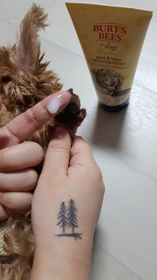 사랑타령님이 올린 리뷰 사진 2