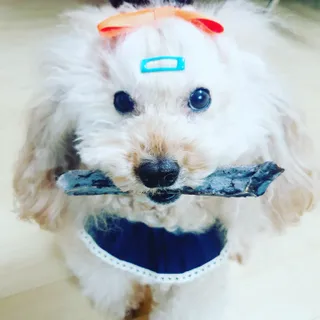 코코님이 올린 리뷰 사진 3