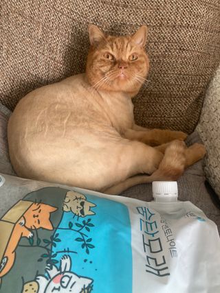 syjuknow님이 올린 리뷰 사진 1