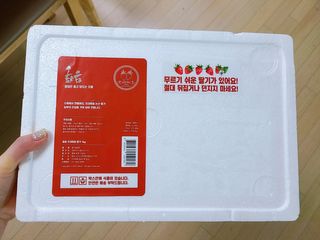 옳음 딸기 논산 설향 딸기 900g 산지직송 — 5점을 준 리뷰어가 2021년 1월 올린 사용 사진