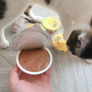 소뉴님이 올린 리뷰 사진 3