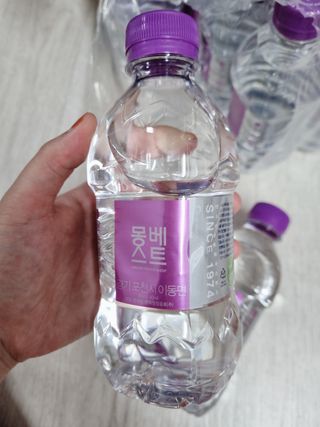 몽베스트 [MONTBEST] 330mL 20병 — 5점을 준 리뷰어가 2021년 10월 올린 사용 사진