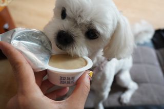 미진냥님이 올린 리뷰 사진 1