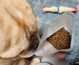 홍블리님이 올린 리뷰 사진 1