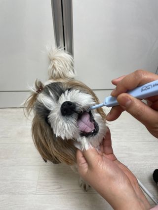 라라통통님이 올린 리뷰 사진 3