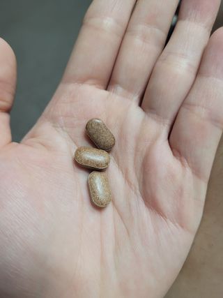 슬림플래닛 녹차카테킨 500mg 애프터밀 — 5점을 준 리뷰어가 2021년 9월 올린 사용 사진
