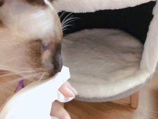 모닝스타님이 올린 리뷰 사진 2
