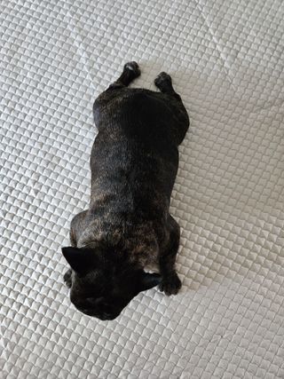 쭈야님님이 올린 리뷰 사진 1
