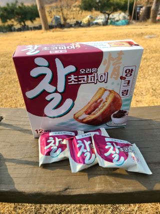 찰초코파이 앙크림 찰 초코파이 정 앙크림 — 5점을 준 리뷰어가 2020년 12월 올린 사용 사진