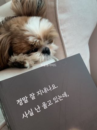 박코끼리님이 올린 리뷰 사진 1