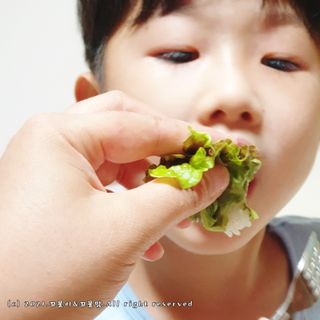 꼬물이님이 올린 리뷰 사진 1