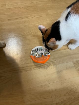 dchan0님이 올린 리뷰 사진 3