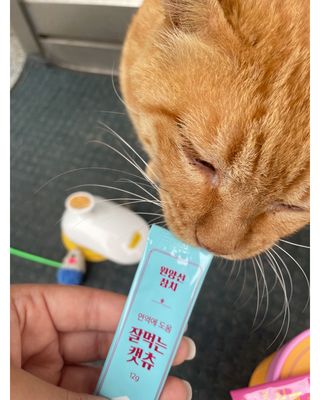 페페로니 잘 먹는 캣츄 - 원양선 참치 24개입 — 5점을 준 리뷰어가 2021년 8월 올린 사용 사진