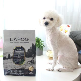 [푸디웜] 라포그 리얼인섹트 소프트키블 스킨 1KG — 5점을 준 리뷰어가 2022년 9월 올린 사용 사진