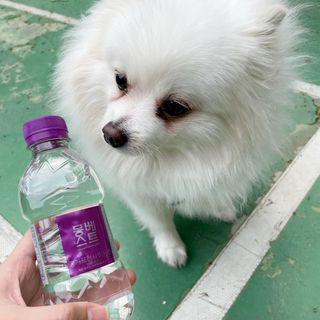 몽베스트 [MONTBEST] 330mL 20병 — 5점을 준 리뷰어가 2022년 4월 올린 사용 사진