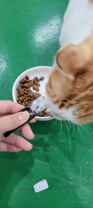 세별이네님이 올린 리뷰 사진 4