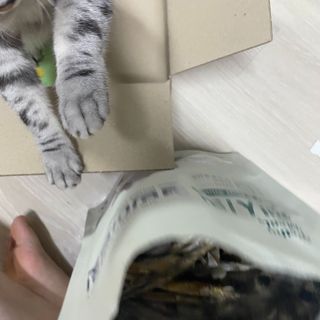 [펫시밀] 원물그대로 영양듬뿍 동결건조 왕북어트릿300g,왕치킨트릿400g,열빙어트릿300g 대용량 간식 — 5점을 준 리뷰어가 2023년 5월 올린 사용 사진