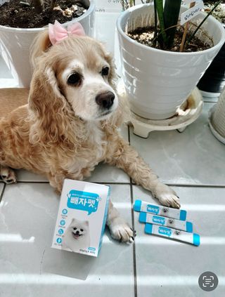 유키코코샤넬님이 올린 리뷰 사진 1