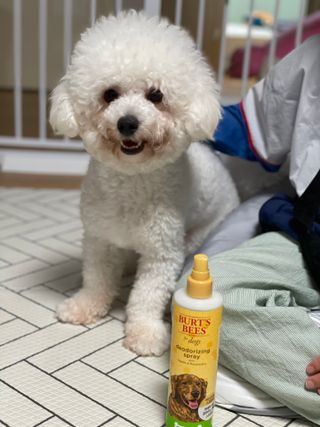 용빈맘님이 올린 리뷰 사진 2