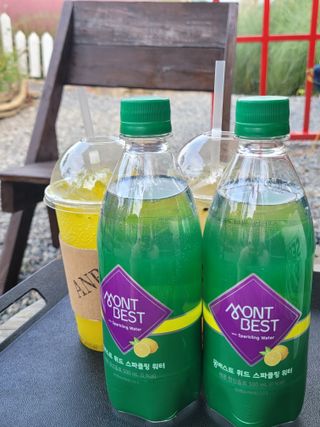 몽베스트 Montbest with Sparkling water Lemon OR Lime 20병(랜덤) — 5점을 준 리뷰어가 2021년 10월 올린 사용 사진