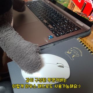그므시라꼬님님이 올린 리뷰 사진 4