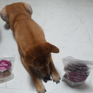 루비님이 올린 리뷰 사진 3