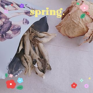 딜라이트 프로젝트 바삭한 원물칩 3종 고구마칩, 자색고구마칩, 느타리버섯칩 [총 6봉지] — 4점을 준 리뷰어가 2022년 2월 올린 사용 사진