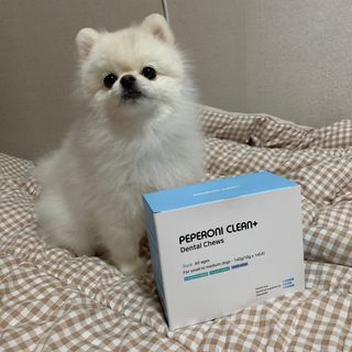 페페로니 2종 세트 클린플러스 덴탈껌 치킨+덕 — 5점을 준 리뷰어가 2021년 8월 올린 사용 사진