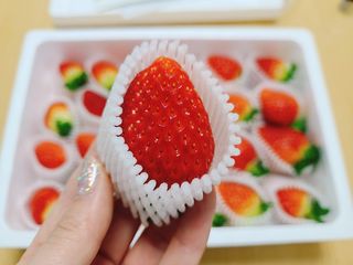 옳음 딸기 논산 설향 딸기 900g 산지직송 — 5점을 준 리뷰어가 2021년 1월 올린 사용 사진