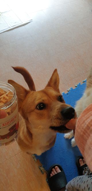아름다운바다님이 올린 리뷰 사진 1