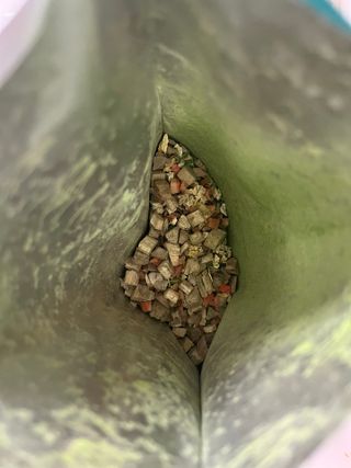 해풀잎 누구나 김밥*1ea [(혼합야채 35g *1ea,  김밥김 (5g, 5ea),  양념간장 (6g, 5ea), 참기름(5g, 2ea)] — 3.5점을 준 리뷰어가 2022년 7월 올린 사용 사진