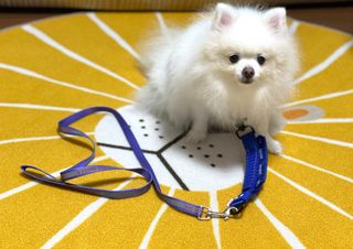 두아들맘님이 올린 리뷰 사진 1