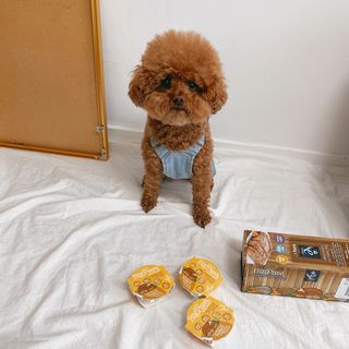 조이님이 올린 리뷰 사진 1
