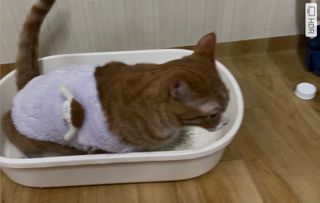 라미라미님이 올린 리뷰 사진 4