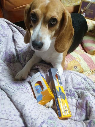 beaglelove님이 올린 리뷰 사진 3