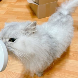 두히야님이 올린 리뷰 사진 4